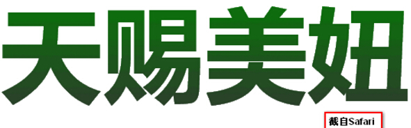 font11 font11