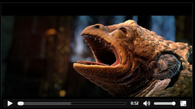 video_h5 video_h5