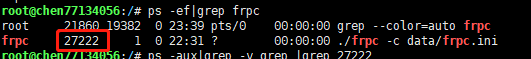linux查看进程所在目录 https://sdeno.com/wp-content/uploads/2023/04/ss_20230410234909.png